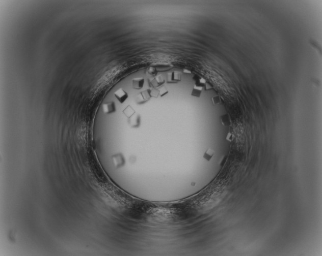 X0000097860352200804041533