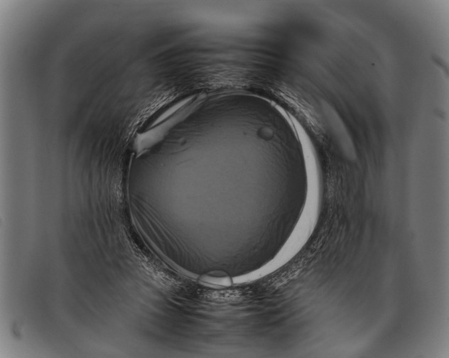 X0000097860353200804041533