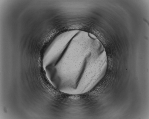 X0000097860354200804041533