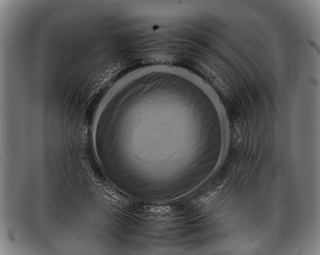 X0000097860355200804041533