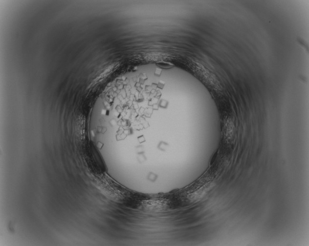 X0000097860356200804041533