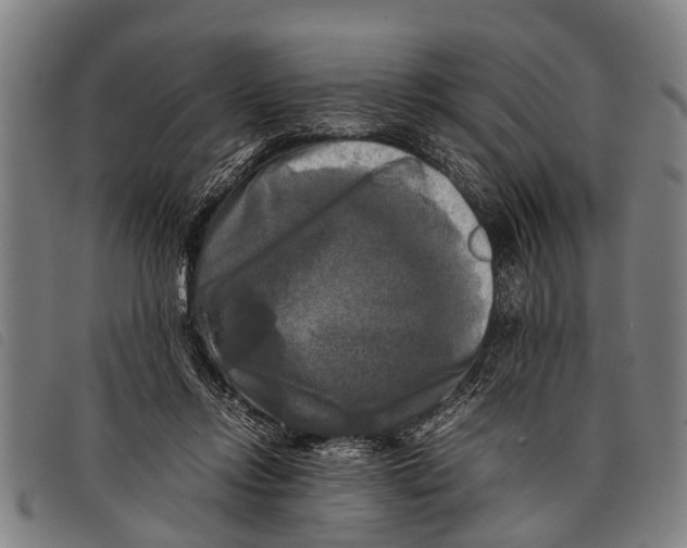 X0000097860358200804041533