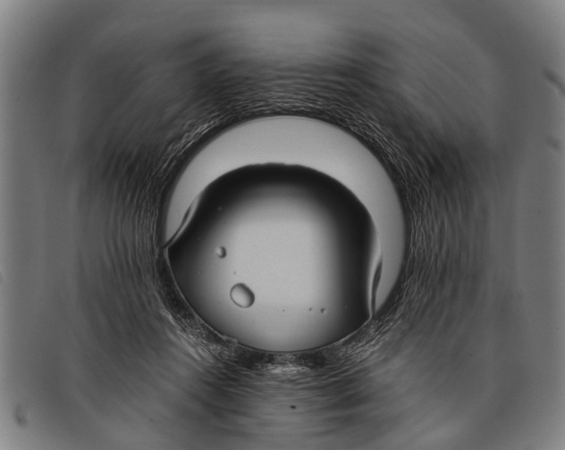 X0000097860360200804041533