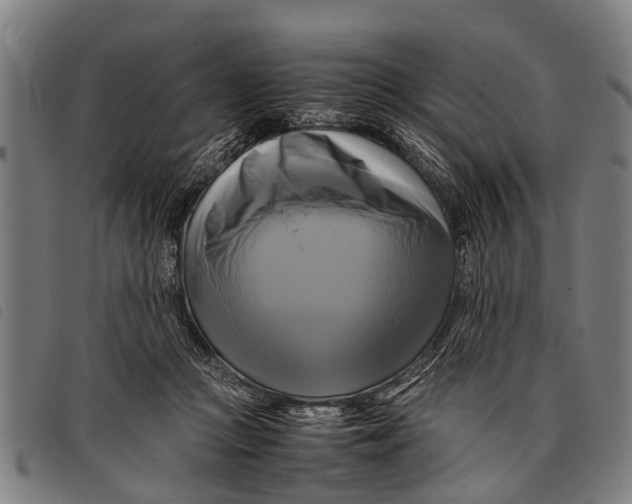 X0000097860361200804041533