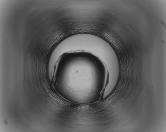 X0000097860362200804041533