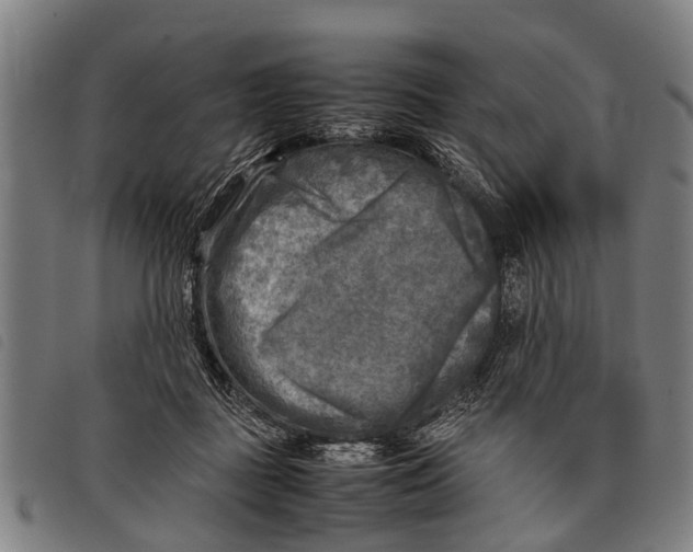 X0000097860363200804041533