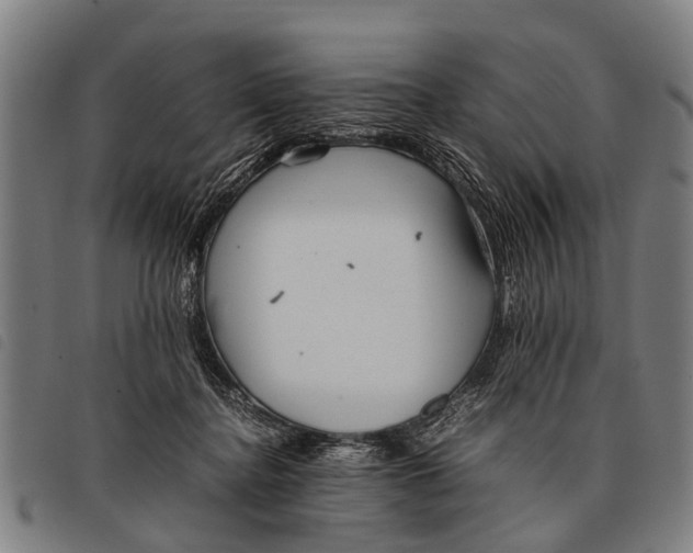 X0000097860364200804041533