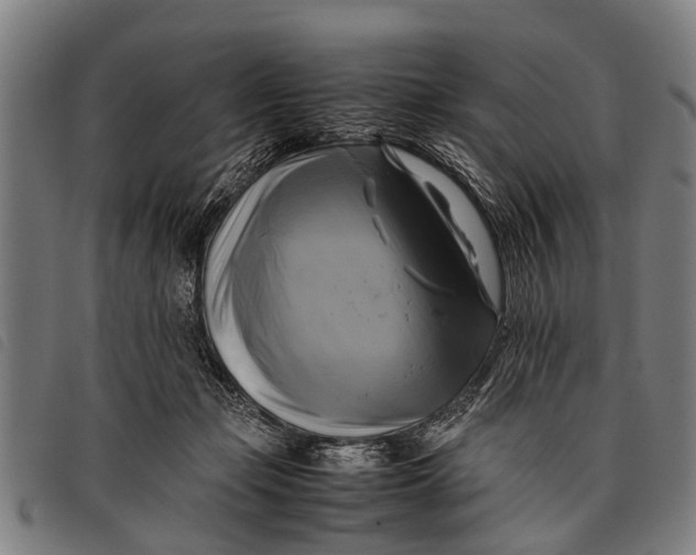 X0000097860365200804041533