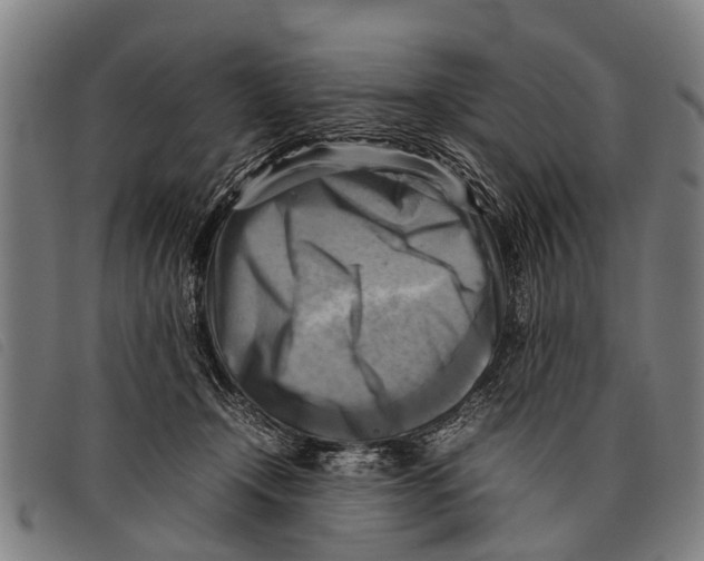 X0000097860366200804041533