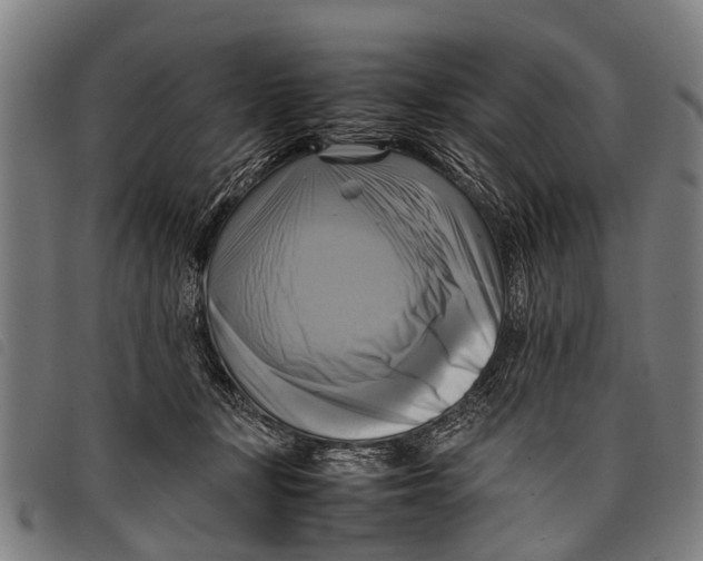 X0000097860367200804041533