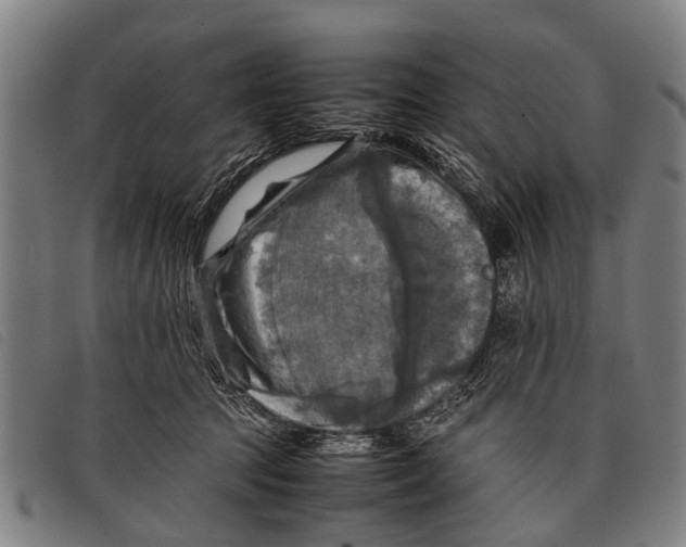 X0000097860369200804041533