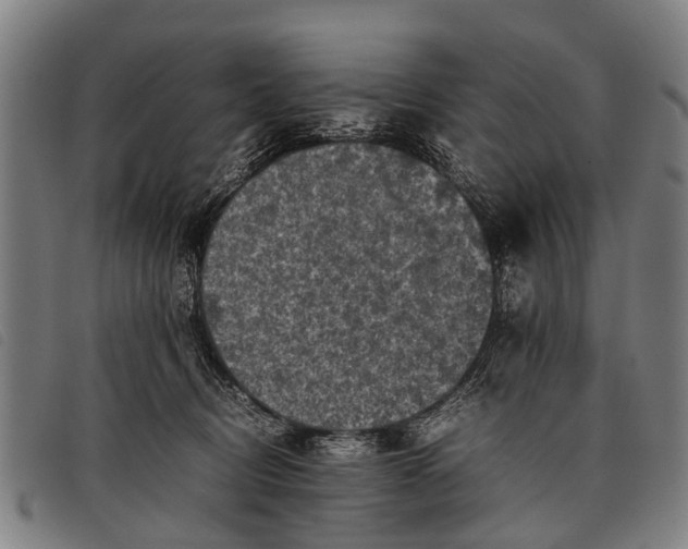 X0000097860370200804041533