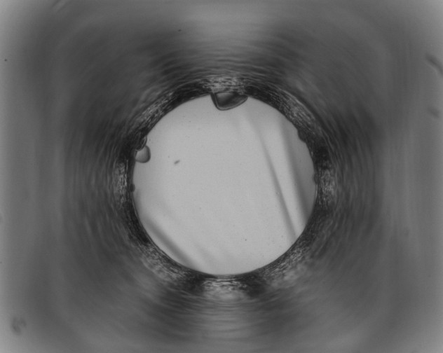 X0000097860372200804041533