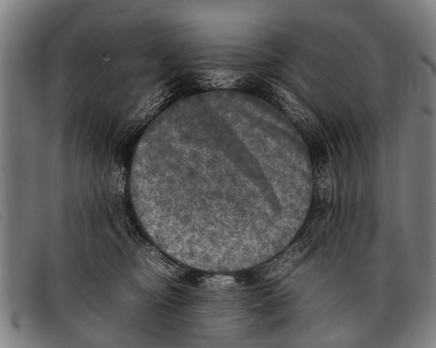 X0000097860374200804041533