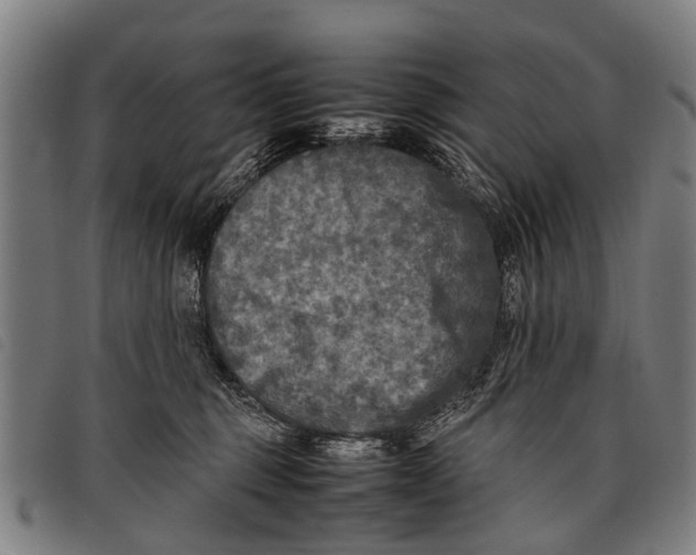 X0000097860375200804041533