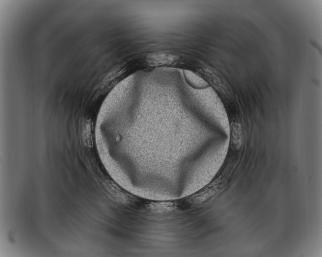 X0000097860378200804041534