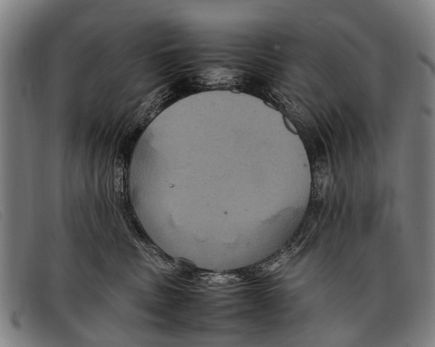 X0000097860379200804041534