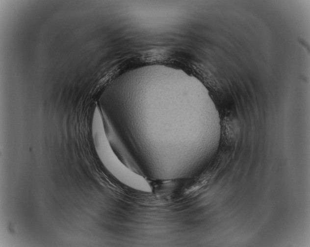 X0000097860380200804041534