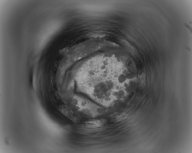 X0000097860381200804041534