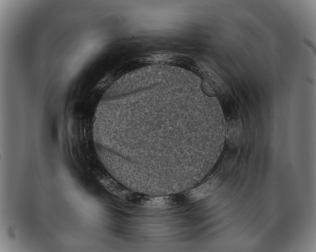 X0000097860382200804041534