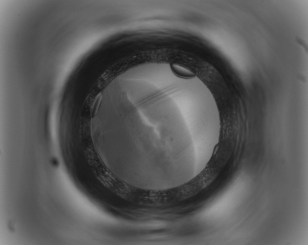 X0000097860383200804041534