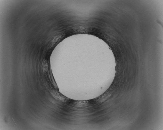 X0000097860384200804041534