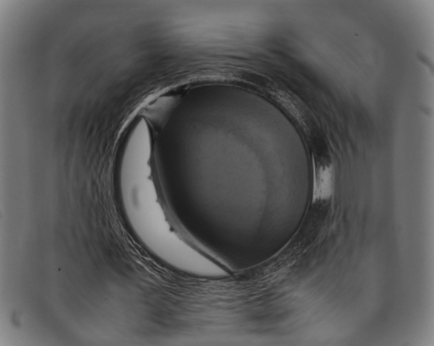 X0000097860387200804041533