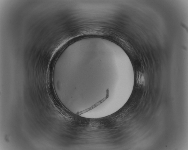 X0000097860388200804041533