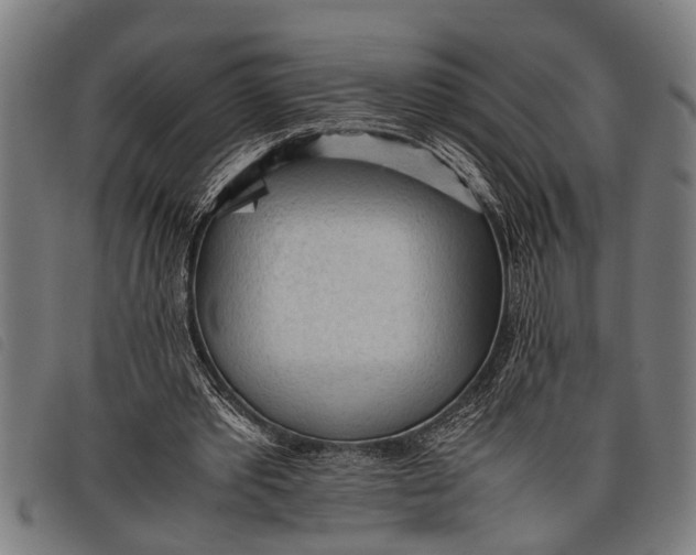 X0000097860389200804041533