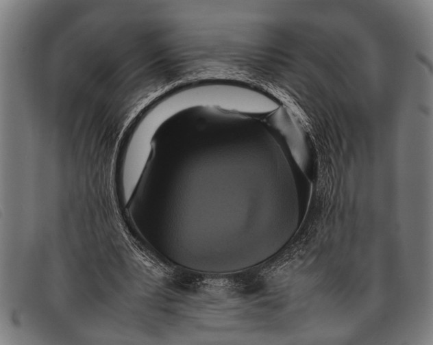 X0000097860391200804041533