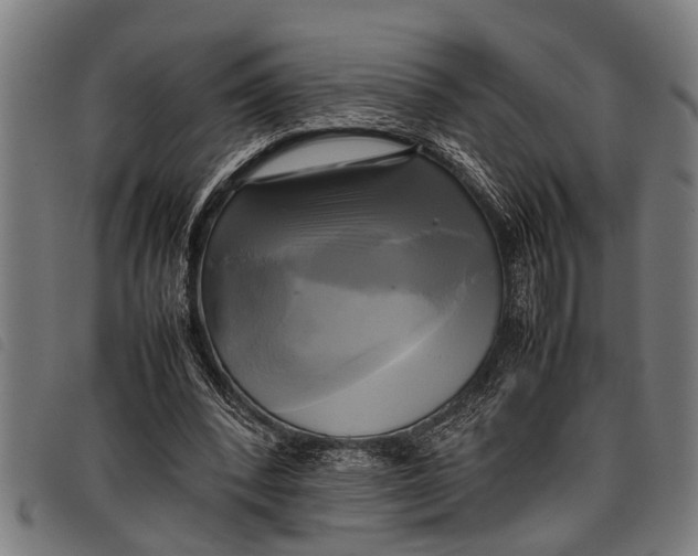 X0000097860392200804041533