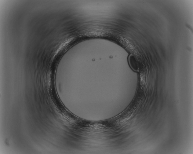 X0000097860396200804041533