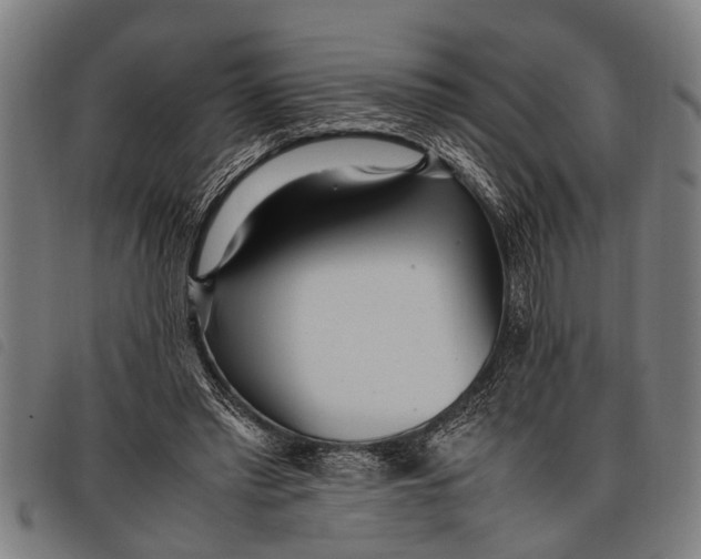 X0000097860397200804041533