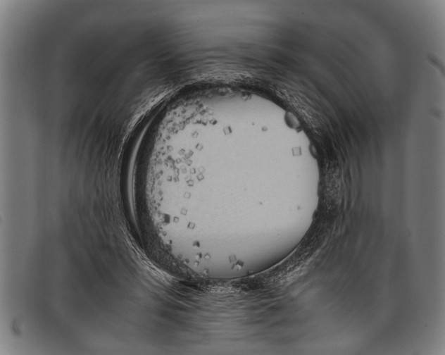 X0000097860399200804041533