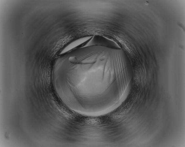 X0000097860402200804041533