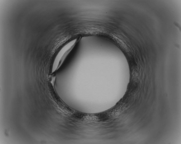 X0000097860403200804041533