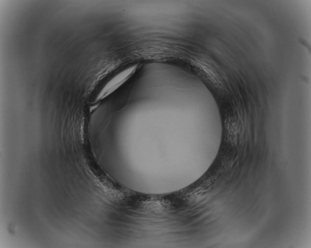 X0000097860404200804041533