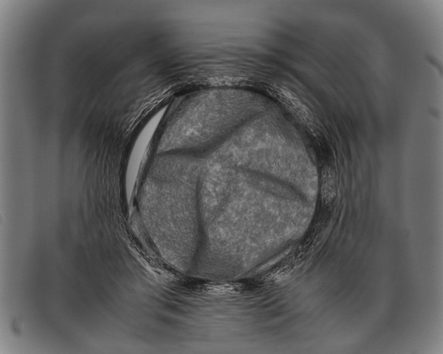 X0000097860405200804041533