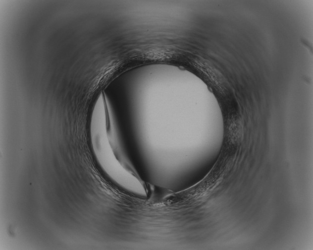 X0000097860407200804041533