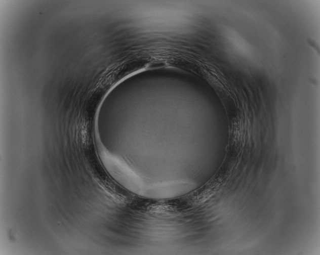 X0000097860408200804041533