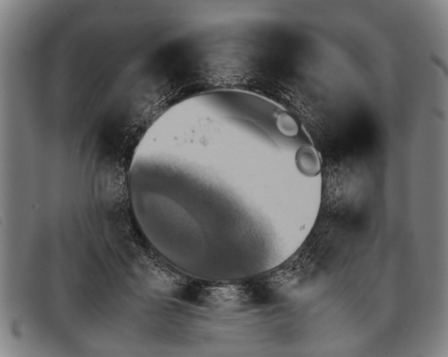 X0000097860411200804041533