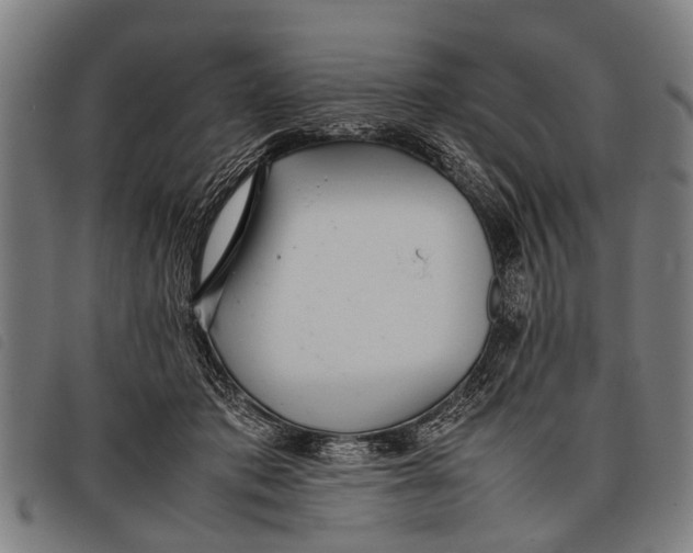 X0000097860413200804041533