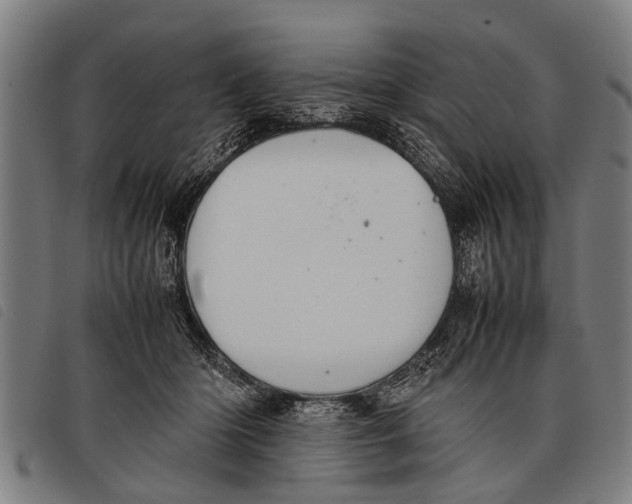 X0000097860414200804041533