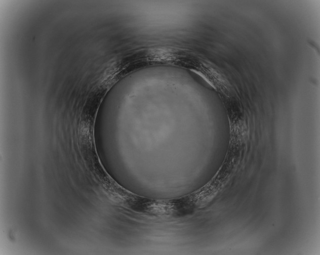 X0000097860415200804041533