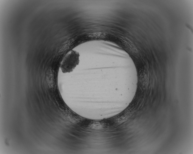 X0000097860416200804041533