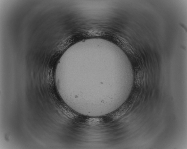 X0000097860418200804041532