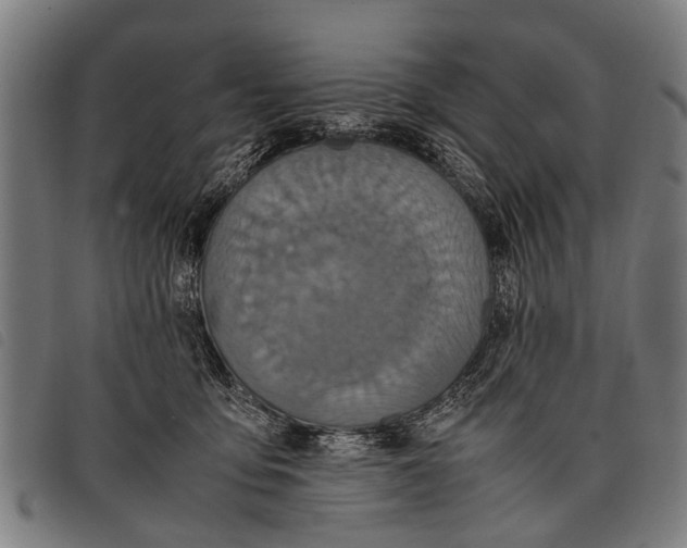 X0000097860419200804041532