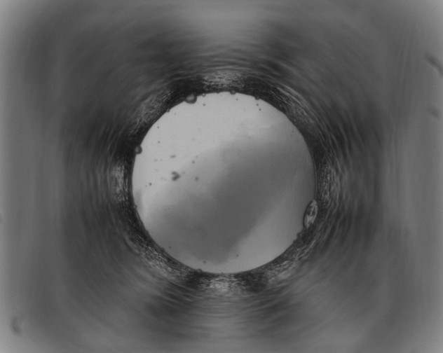 X0000097860420200804041532