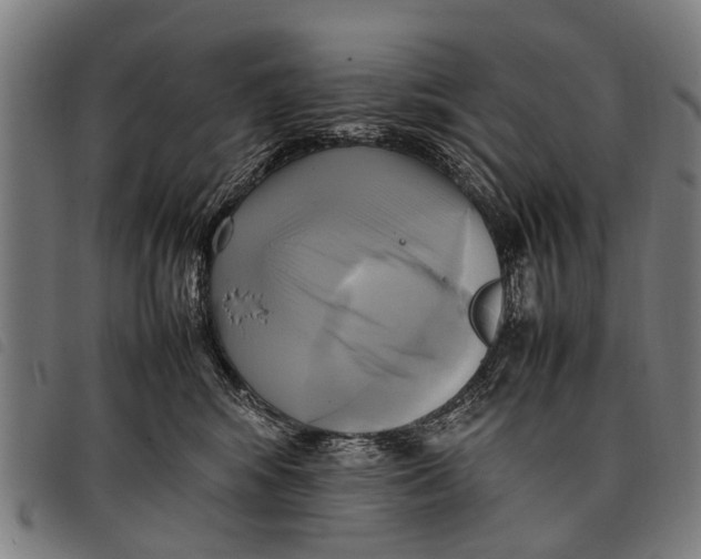 X0000097860424200804041532