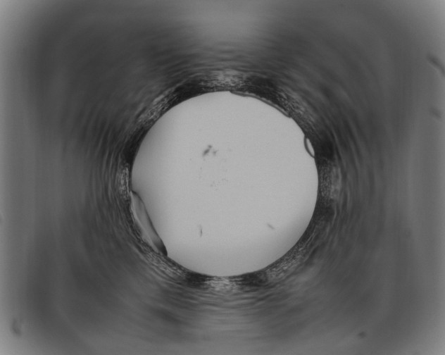 X0000097860425200804041532